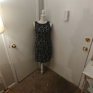 Ann taylor dress